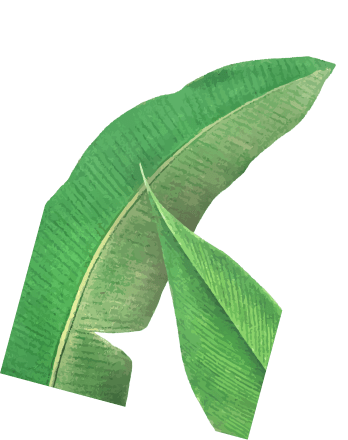 Leaf 3.png