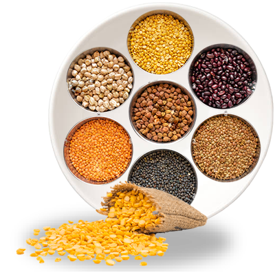 Pulses